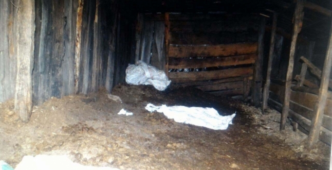 Helenistik Dönem'e ait 1 milyon liralık tarihi eser ele geçirildi