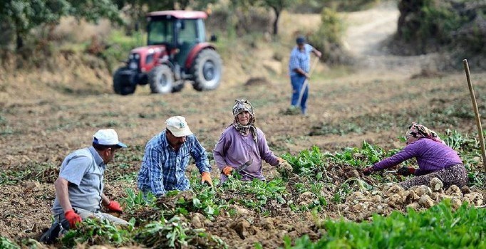 Türkiye nüfusun yüzde 8'i köyde yaşıyor