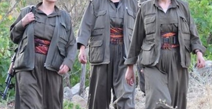 Şırnak'ta 7 terörist teslim oldu