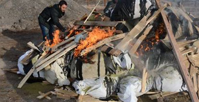 Aksaray’da 1 ton 180 kilo esrar yakılarak imha edildi