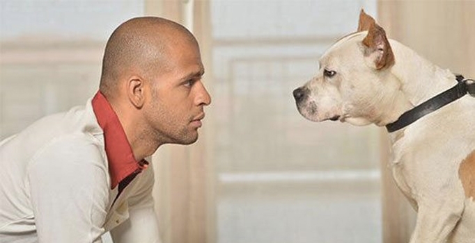 Felipe Melo, köpeği Kyra'nın adına da Twitter hesabı açtı