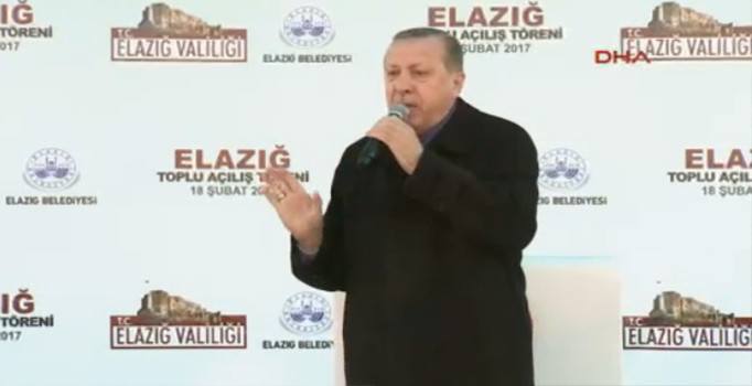 Cumhurbaşkanı Erdoğan'dan partilere kritik çağrı