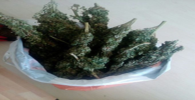 Kahramanmaraş'ta güvercin kümesine uyuşturucu operasyonu