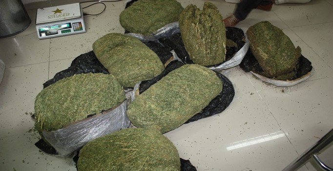 Sakarya’da 24 kilogram kubar esrar ele geçirildi