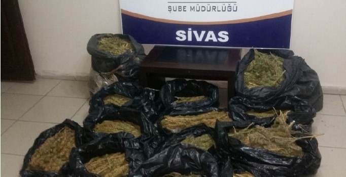 Sivas’ta 44 kilogram esrar ele geçirildi | Sivas haberleri