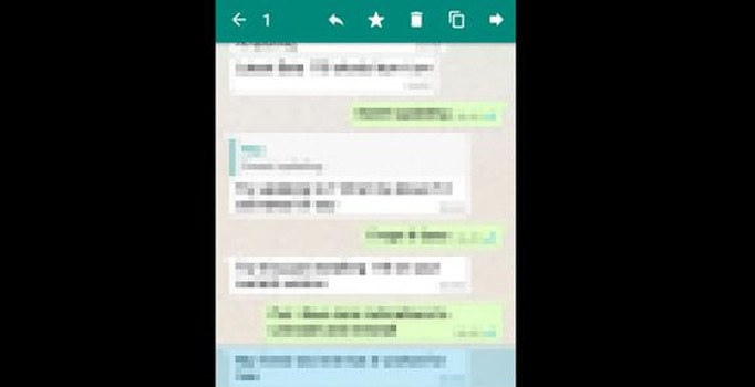 DEAŞ'ın whatsapp konuşmaları ortaya çıktı