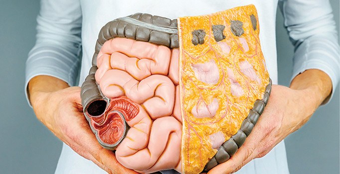 İşlenmiş ve yanmış et bağırsağın düşmanı