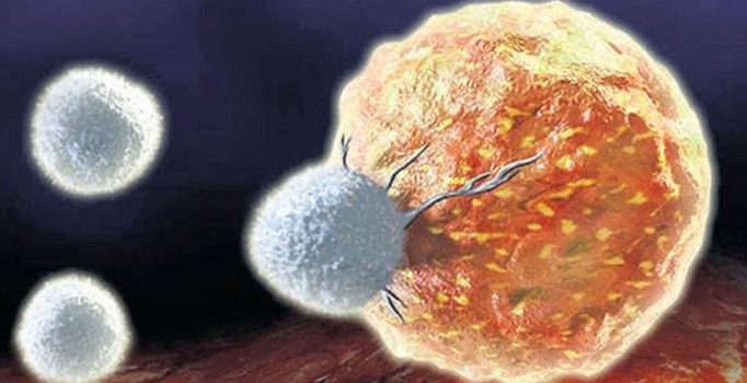 DSÖ: Acilen yeni antibiyotiklere ihtiyaç