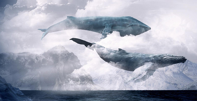 Mavi Balina oyununa inceleme