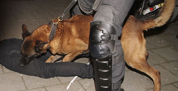 Son dakika! Hollanda polisi Türk göstericilere müdahale etti