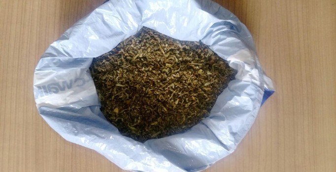 Bonzai içen Suriyeli deniz zannederek çöp konteynerine atladı