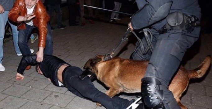 Hollanda'da seçim bitti, gösteriye izin çıktı