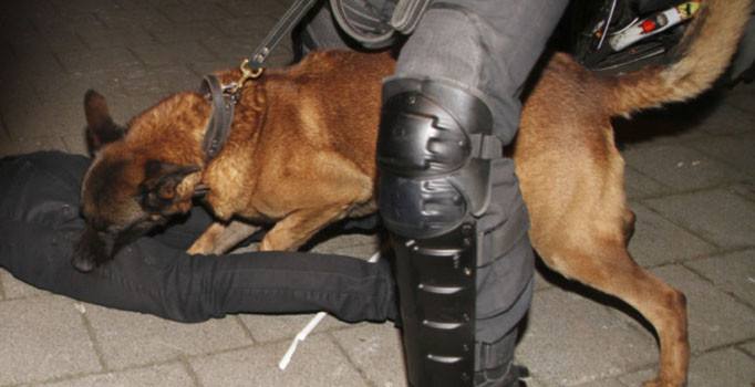 ABD'den Hollanda - Türkiye açıklaması:  Tansiyonu yükseltecek retorikten kaçının