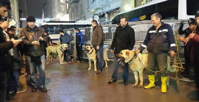 Konsolosluk önünde Kangallı protesto