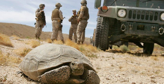 ABD: Menbiç'te Rus askerleriyle göz teması kuruldu