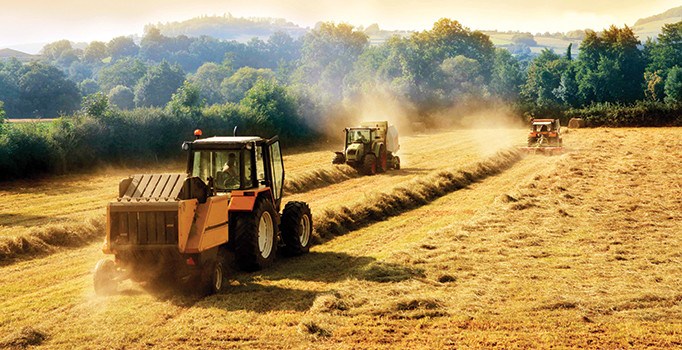 Artık Rus buğdayından makarna yapmayacağız