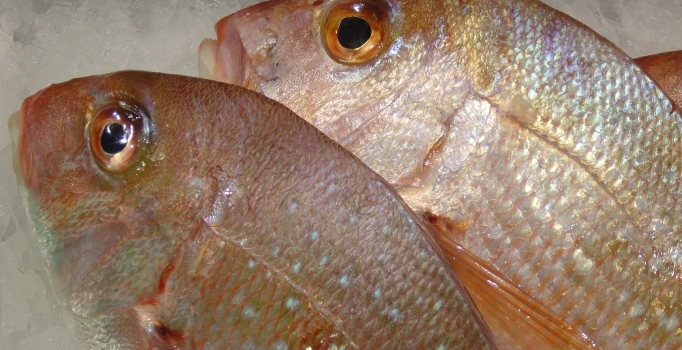 Depresyona karşı sofranızdan
balığı eksik etmeyin