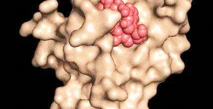Kanseri yenecek buluş