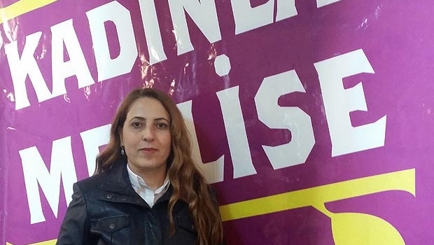HDP listesinde Hülya Avşar heyecanı