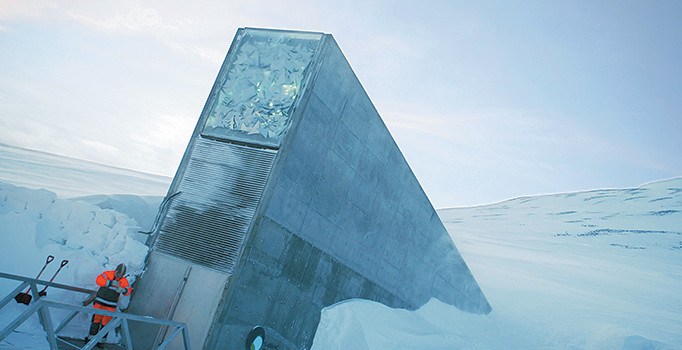 Kutupta kıyamet kütüphanesi