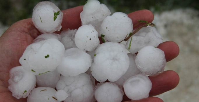 Mevsimler çıldırmış olmalı!