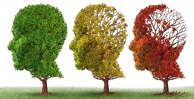 "Alzheimer ülke olsa dünyanın 18. büyük ekonomisi olurdu"