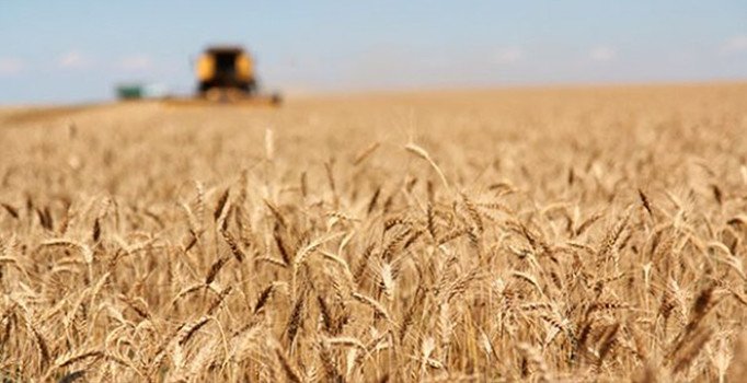 Rusya Tarım Bakanlığı'ndan Türkiye'ye: Sırtımızdan bıçaklandık