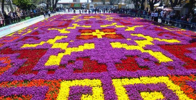 Sultanahmet'te 1453 metrekarelik "lale halısı" hazırlandı