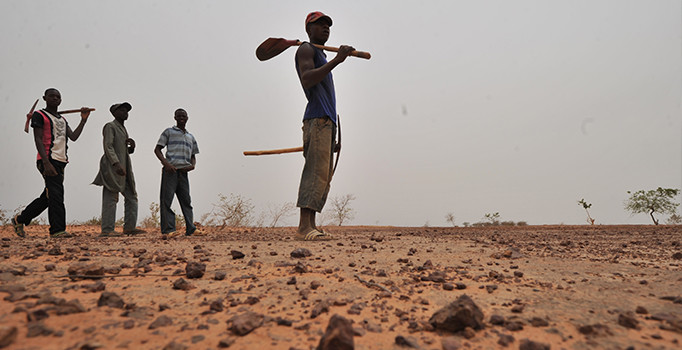 İHH'dan Nijer'e gıda yardımı