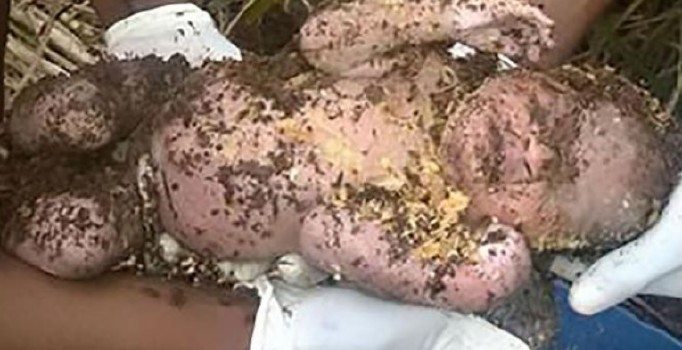 Yeni doğmuş bebeğini gömerek ölüme terk etti