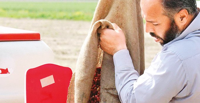 Çiftçi bu yıldan ümitli