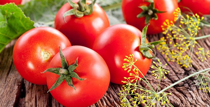 Son dakika! Rusya: Türkiye ile bütün sorunlar çözüldü