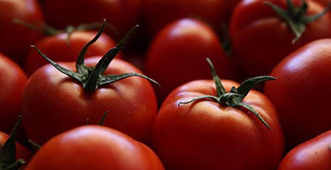 Ucuz domates 20 Mayıs’tan sonra