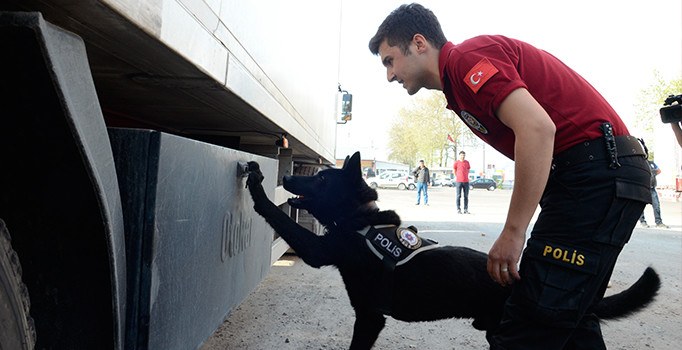 Narkotik köpeği ’Dark’, 181 kök keneviri yakalattı