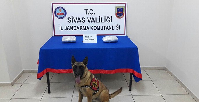 Sivas'ta uyuşturucu operasyonu: 3 kilo esrar ele geçirildi