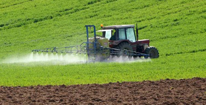Gaziantep'te bahar yağmurları tarım arazilerine can suyu oldu