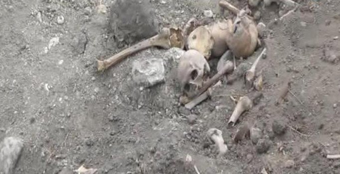 Ardahan’da kafatası ve insan kemikleri bulundu