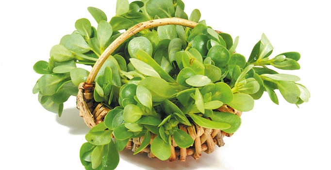 Hastalık, depresyon ve fazla kilolara karşı savaşıyor