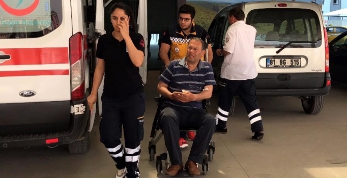 Bahçeyi temizlerken yılan ısırdı, hastanelik oldu | Düzce haberleri