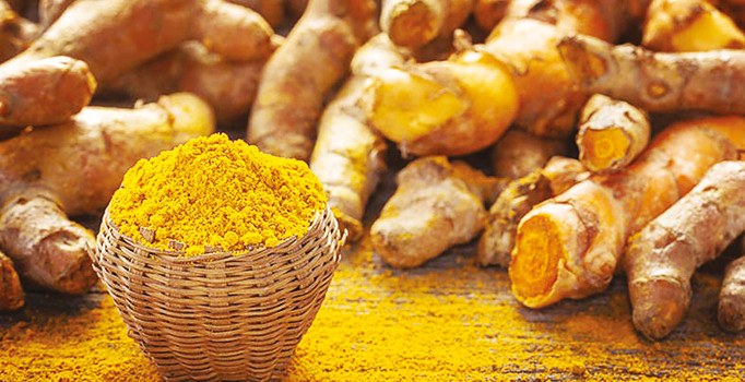 Zerdeçal kemikleri onarıyor