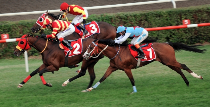 Ankara'daki kanlı saldırı nedeniyle at yarışları da iptal edildi