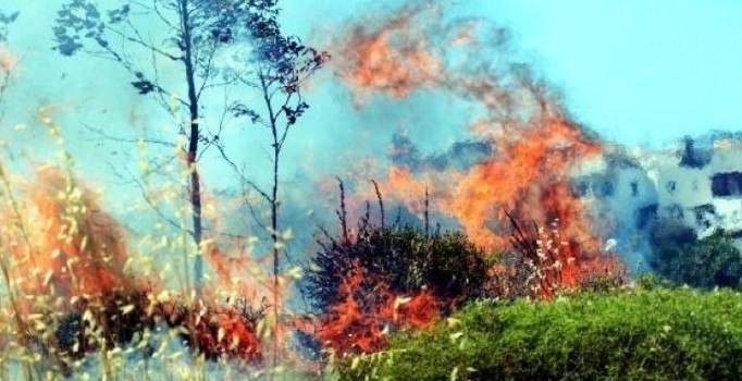 Otellerin arasındaki yangın korkuttu | Bodrum haberleri