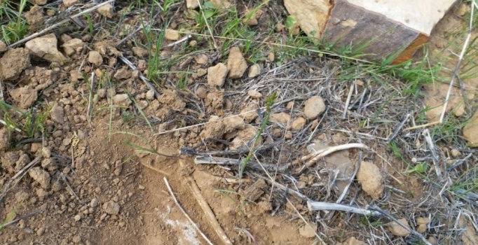 Bingöl'de 3 el yapımı patlayıcı imha edildi