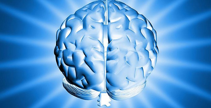 Mikro devre üzerinde beyin hücreleri üretildi