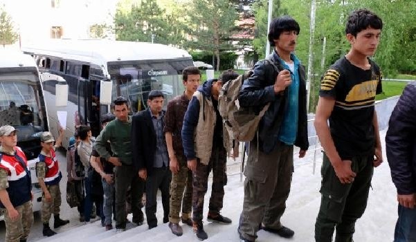 Erzincan'da göçmen operasyonu: 114 kaçak yakalandı