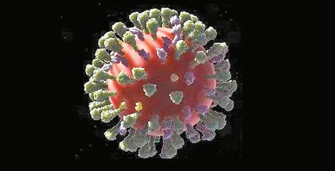 Akciğer taklidi yapan organoidler geliştirildi