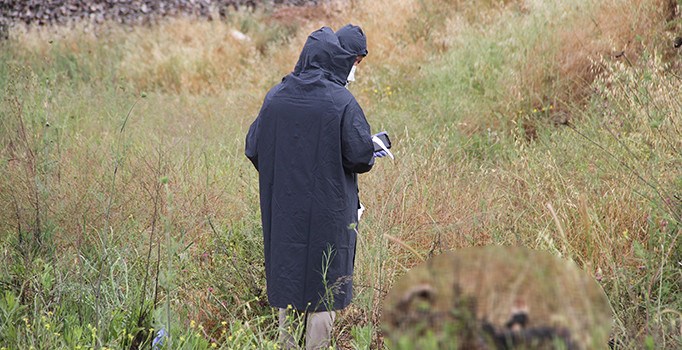 Milas’ta vahşi cinayet!