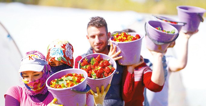 Teşvikler yetmedi köyden kentlere göç devam etti