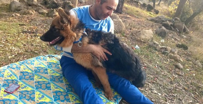 Aydın’da trafik kazası: 1 kişi öldü