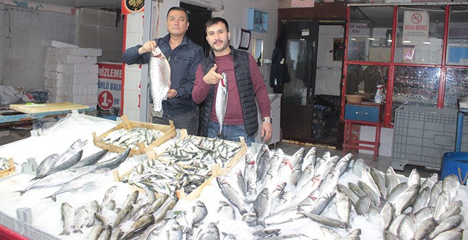 Kütahya'da Ramazan öncesi balık çeşitliliği arttı